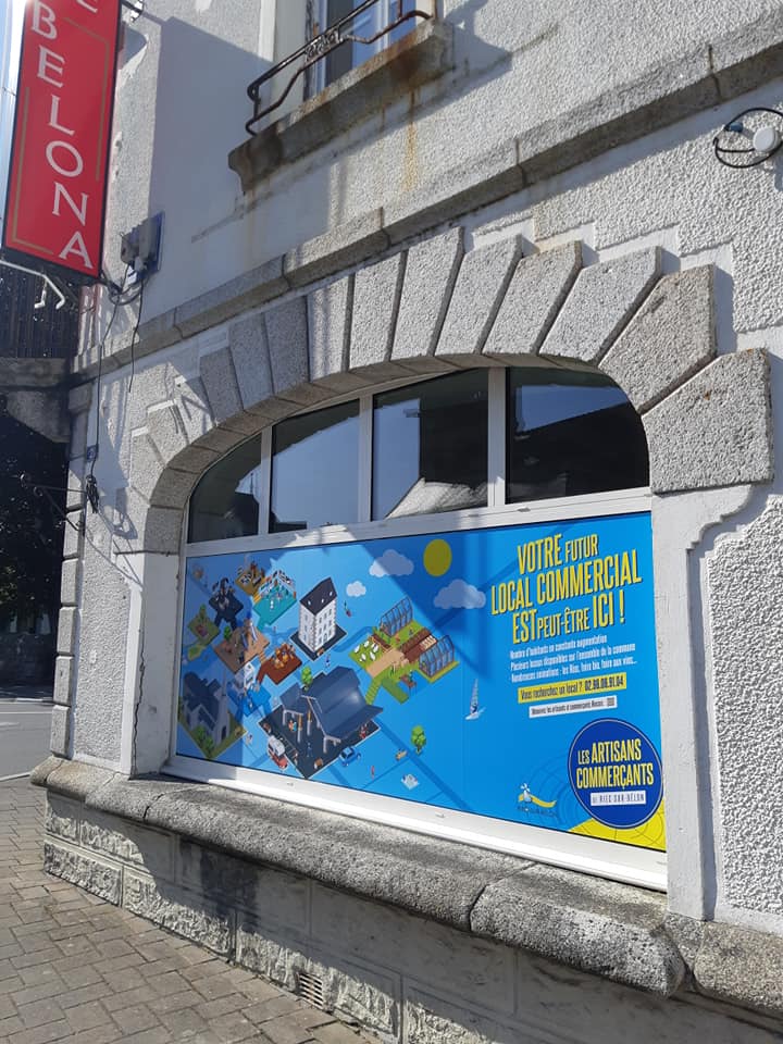 Graphiste com un poisson Finistère Quimperlé Lorient Concarneau