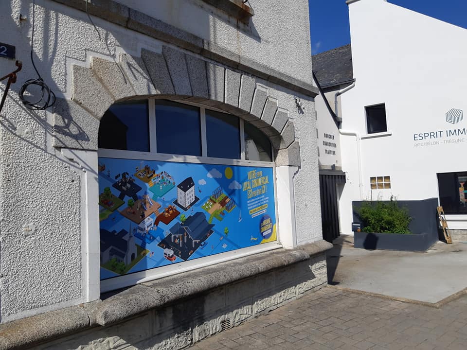 Graphiste com un poisson Finistère Quimperlé Lorient Concarneau