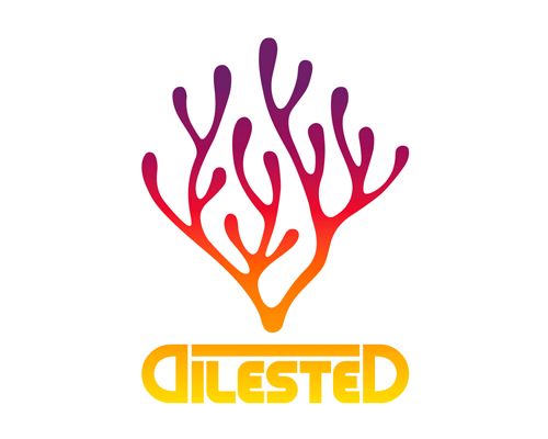 Dilested - Logo - Branding - Com un poisson - Graphiste