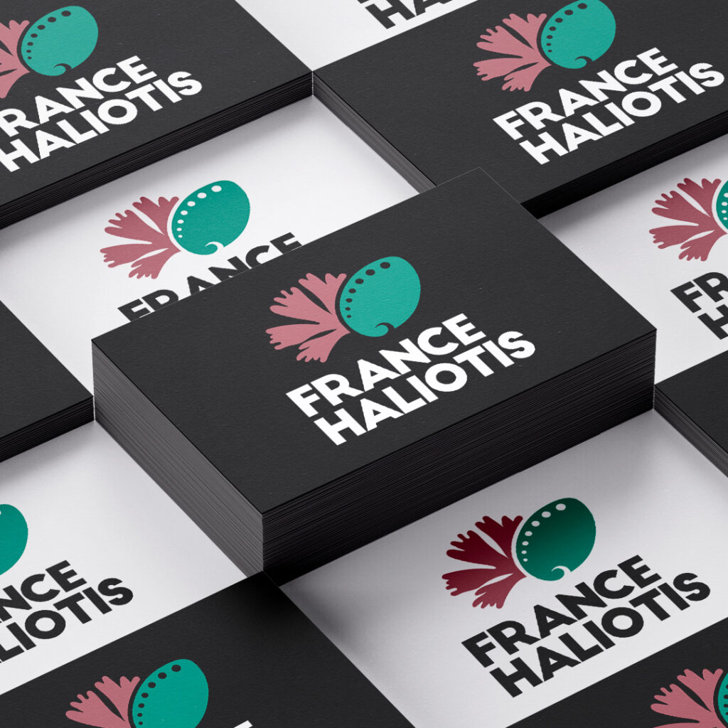 Branding / logo pour France Haliotis - Graphiste indépendant basé à Riec-sur-Bélon près de Quimperlé dans le finistère en Bretagne - Collectif