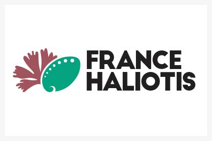 France Haliotis - Graphiste freelance - Com un poisson - Collectif